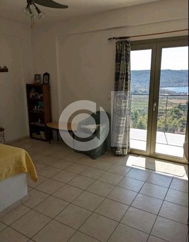 Μονοκατοικία για ενοικίαση Μαλεσίνα - Photo 5