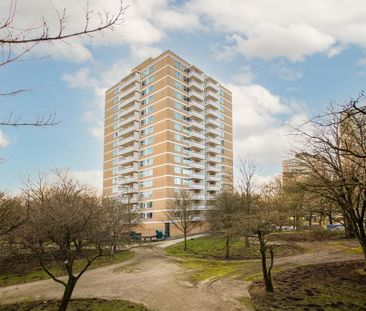 Appartement te huur: Staalmeesterslaan 219 1057 NV Amsterdam - Photo 3