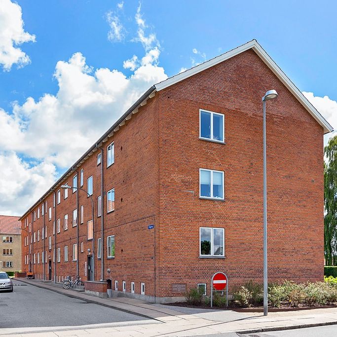 Afd. 5 Pilevang - Photo 1