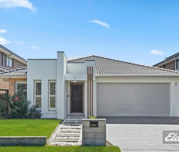 Family Living 4 bedroom + Media Room in a Prime Box Hill Location! - Photo 3