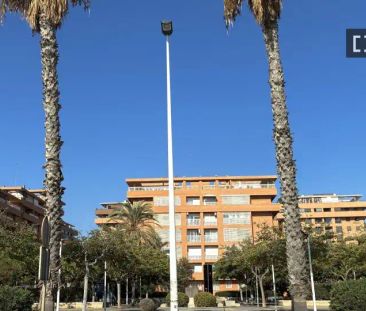 Alboraya - Photo 4