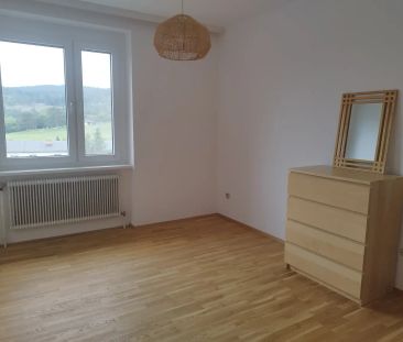 Pärchenhit in Höflein an der Hohen Wand - Photo 1