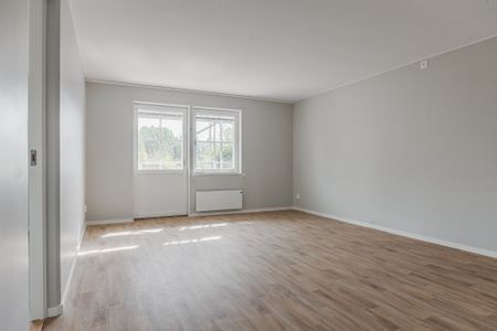 Petersburg 66 - Foto 3