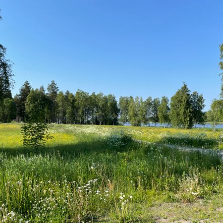 Forskarvägen, Luleå - Photo 4