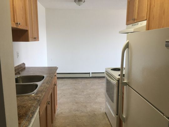 Totem II Apartments – 2 Bedroom - Photo 1