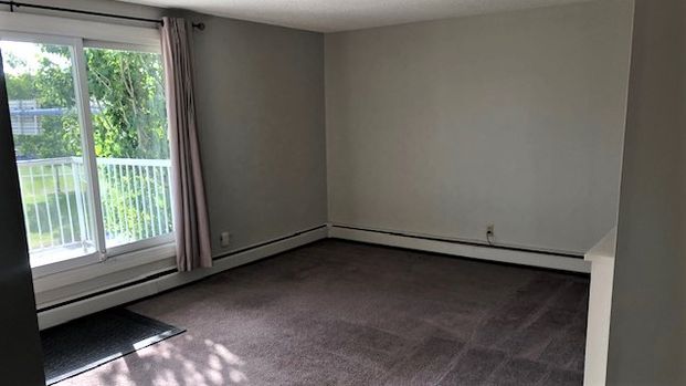 1 Bedroom Condo For Rent In Old Strathcona. - Photo 1