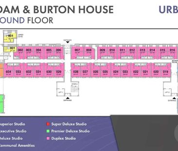 Premier Deluxe Studio - Photo 2