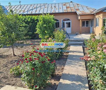 Casa, curte proprie, garaj I Balaceanca - Fotografie 6