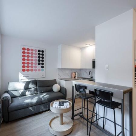 Appartement Une Chambre - Montréal Centre-Ville, Meublé - Photo 3