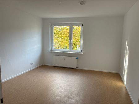 3-Zimmer-Wohnung in stadtnaher Lage // 1.OG rechts - Photo 2