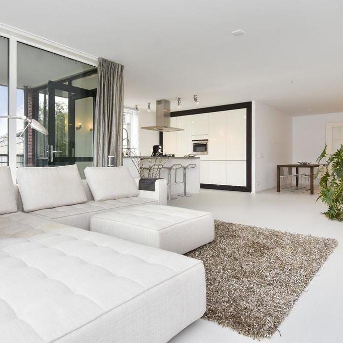 Appartement te huur: Thorbeckelaan 334-D 2564 BZ Den Haag - Photo 1