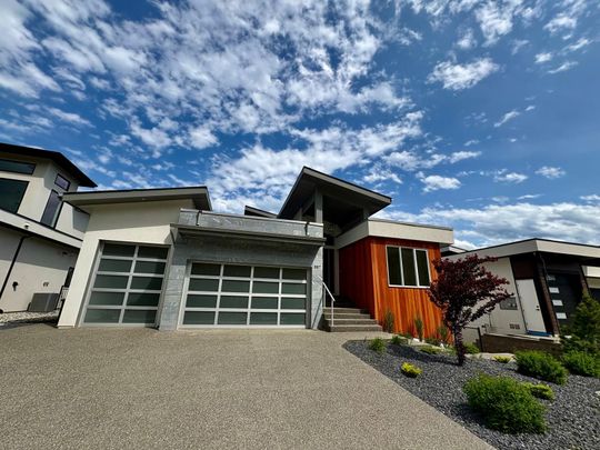 Brand New walkout in Black Mountain - Photo 1