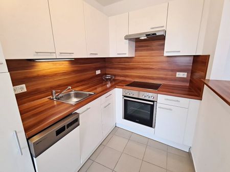 TERRASSENHIT, 61 m2 Dachgeschoß mit 48 m2 Terrasse, Wohnküche, 1 Zimmer, Wannenbad, Parketten, Fernblick, Holbeingasse - Photo 4