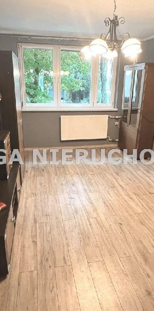 Mieszkanie Bielsko-Biała Kamienica powierzchnia 40.0 m² C395-WM-54090 - Zdjęcie 1