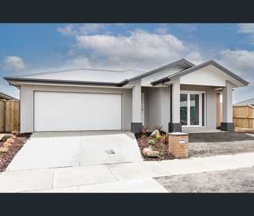 4 Towong Street, Alfredton, Vic 3350 - Photo 5