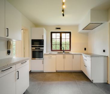 Zoniënwoud, Hoeilaart - Photo 3