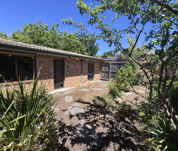 Unit 10/43 Kirkland Cct, Macgregor ACT 2615 - Townhouse For Rent - ... - Photo 5