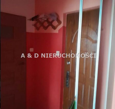 Bydgoszcz, Wyżyny, Ku Wiatrakom - Zdjęcie 3