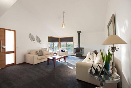 A cut above the rest - Photo 2