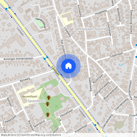 Loolaan-Noord, 7315 AV, Piet Joubertstraat, Apeldoorn