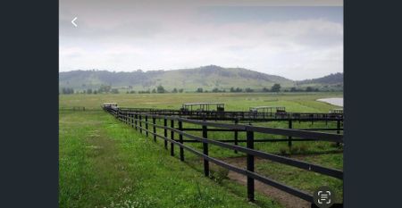 Room for your Horse(s) - Photo 2