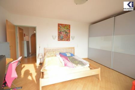 TERRASSEN-MAISONETTE am SCHAFBERG - Photo 4