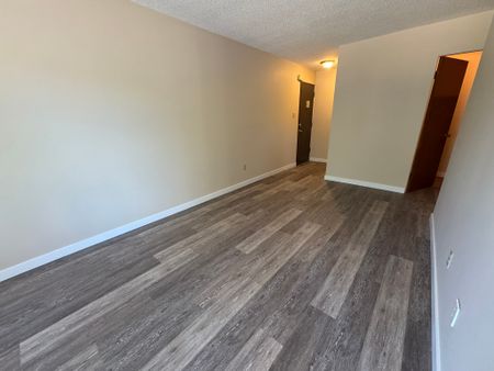 SPACIOUS 2 Bedroom APARTMENT!! GREAT LOCATION Downtown!!! - Photo 2