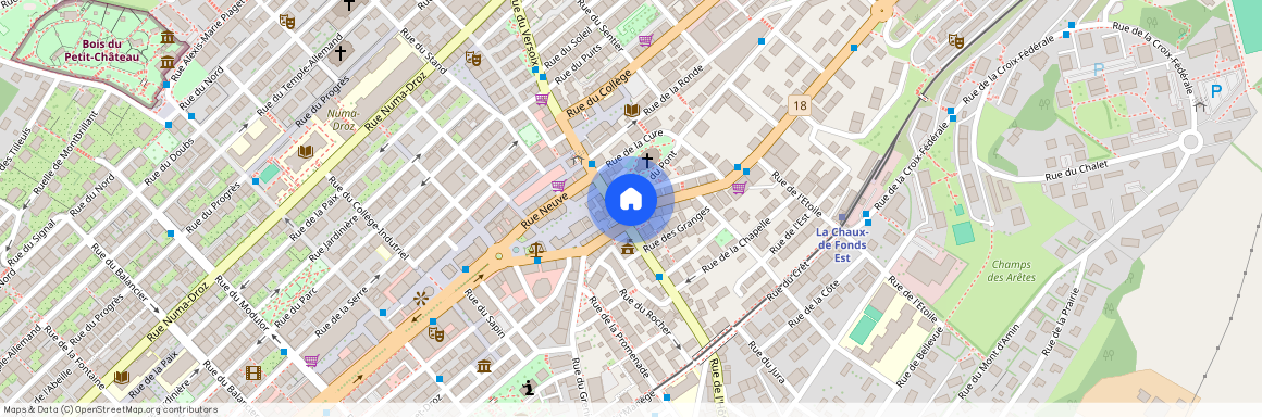 La Chaux-de-Fonds (Rue Louis-Agassiz 8), Suisse