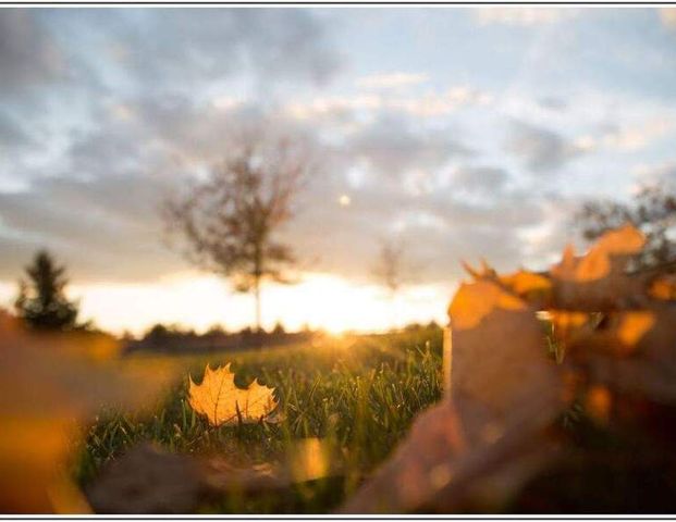 NOTWENDIG Berliner WBS mit DRINGLICHKEIT - Photo 1