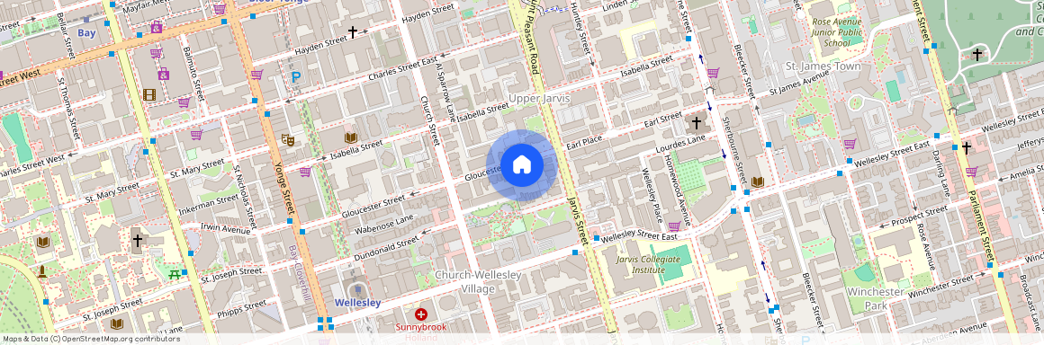 103 Gloucester Street Unit# Bsmt, Toronto