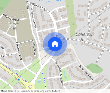 Balsam Way, Callerton Way, Newcastle Upon Tyne, NE5 - Photo 1
