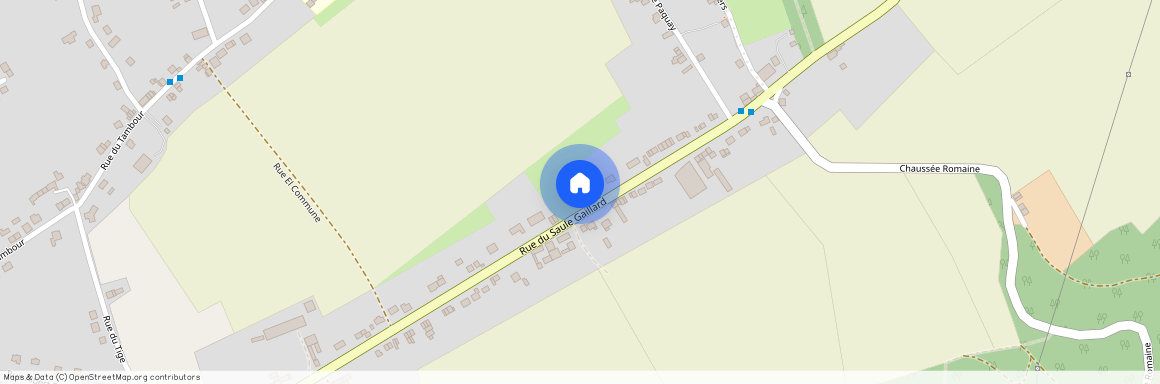 Rue Du Saule Gaillard, 55, 4540, Amay