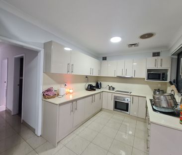 Elevated and Spacious - Photo 4