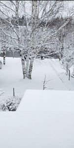 4 et demi Accepte animaux - Photo 3