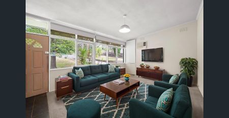 Marvellous Monty - Photo 3