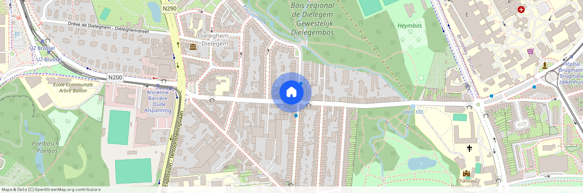 Rue de l'Abbaye de Dieleghem 3, 1090, Jette