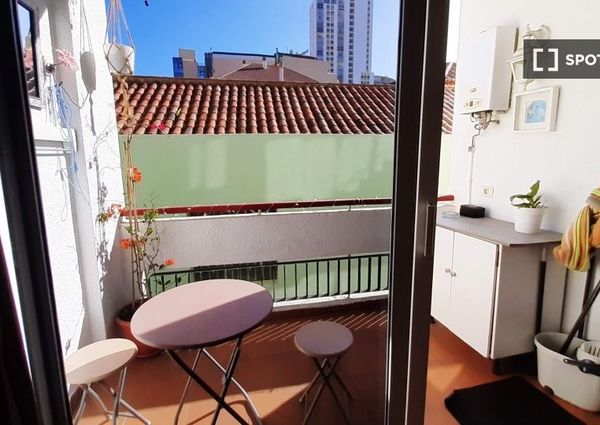 santa_cruz_de_tenerife, Canary Islands 38400