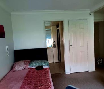 Wollongong CBD - Photo 4