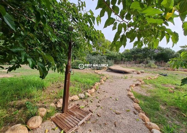 Av. son Caliu, 17, 07181 Palmanova, Illes Balears, Spain, Palma Nova, Balearic Islands 07181