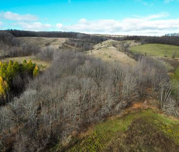 For Lease - 686487 Sideroad 19 Side Road, Blue Mountains, Ontario - Photo 6