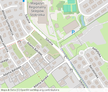 Mieszkanie bezczynszowe do wynajęcia. Suchy Dwór. 50m2 - Photo 1