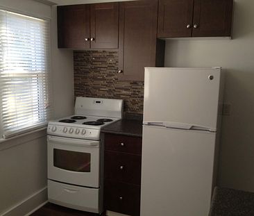 newly renovated Cathedral 2 bd character suite /fenced yard /gargae - Photo 4