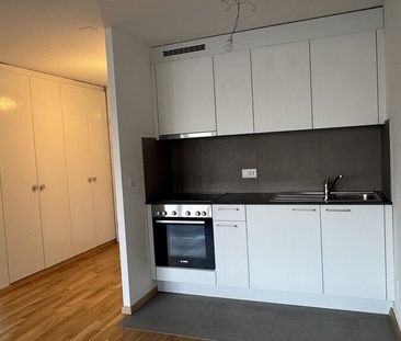 Completely renovated studio - Photo 2