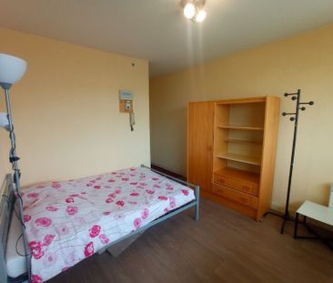 STUDIO SECTEUR FACULTES - Photo 4