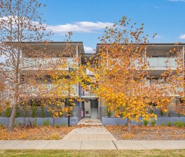 23/126 Thynne Street, Bruce ACT 2617 - Apartment For Rent | Domain - Photo 3
