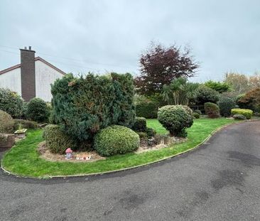 20 Greystone Road, Antrim, BT41 1JX - Photo 1