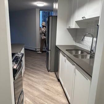 Pet Friendly 1BR/1BA in Burnaby. Spacious, Near SFU, Skytrain, Mall - Photo 1