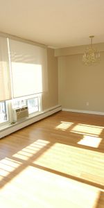 2 bedroom unit close to Cite Collegiale and Ogilvie/Bathgate - Photo 4