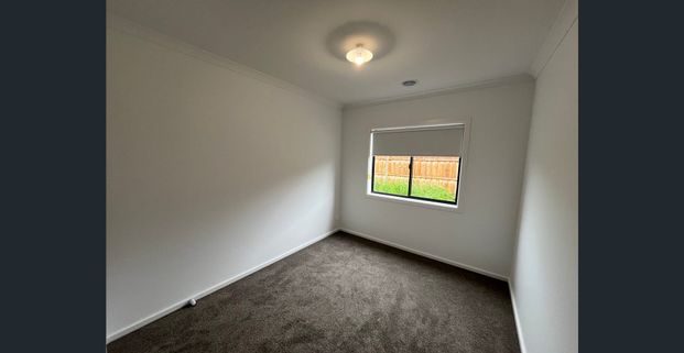 Brand-New 4-Bedroom Family Home with 2 Living Areas & Modern Comfort Throughout - Photo 1