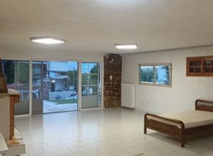 Διαμέρισμα για ενοικίαση - Ωρωπός, - Φωτογραφία 4